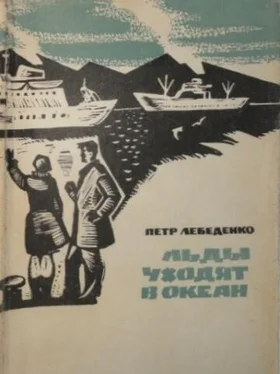 Пётр Лебеденко Льды уходят в океан обложка книги