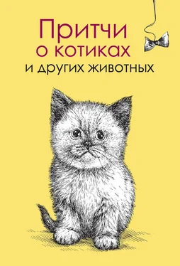 Елена Цымбурская Притчи о котиках и других животных обложка книги