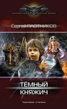 Сергей Плотников Темный княжич обложка книги