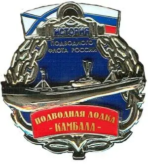 В общественной деятельности с 1996 года руководил рядом общественных - фото 293