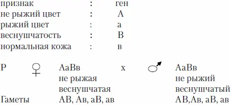 Для определения генотипов особей первого поколения воспользуемся решеткой - фото 14