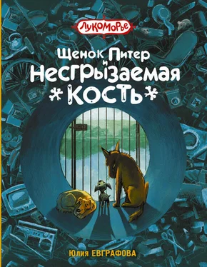 Юлия Евграфова Щенок Питер и Несгрызаемая Кость обложка книги