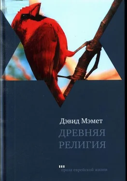 Дэвид Мэмет Древняя религия обложка книги