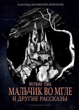 Мервин Пик Мальчик во мгле и другие рассказы (сборник) обложка книги