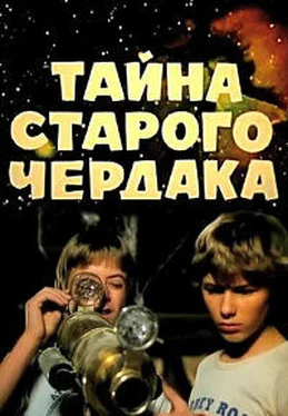 Петр Стегний Тайна старого чердака обложка книги