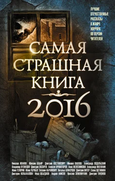 Анна Железникова Самая страшная книга 2016 (сборник) обложка книги