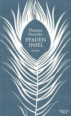 Thomas Hettche Pfaueninsel обложка книги