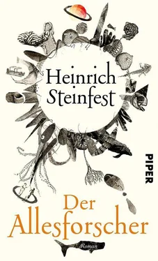 Heinrich Steinfest Der Allesforscher обложка книги