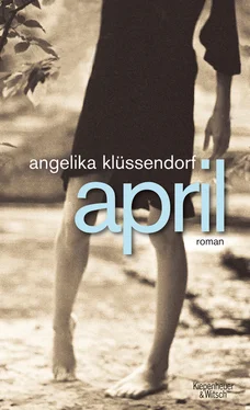 Angelika Klüssendorf April обложка книги