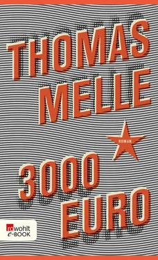 Thomas Melle 3000 Euro обложка книги