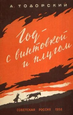 Александр Тодорский Год с винтовкой и плугом (25.10.1917—07.11.1918) обложка книги