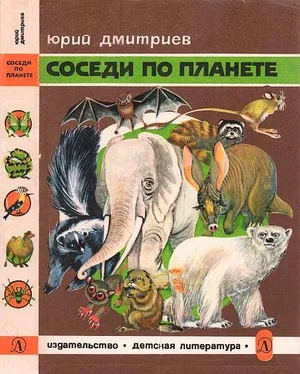 Юрий Дмитриев Соседи по планете Млекопитающие обложка книги