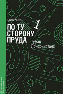 Сергей Костин Туман Лондонистана обложка книги