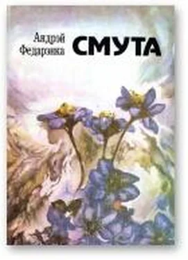 Андрэй Федарэнка Смута обложка книги