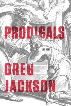 Greg Jackson Prodigals: Stories обложка книги