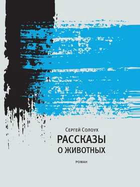 Сергей Солоух Рассказы о животных обложка книги