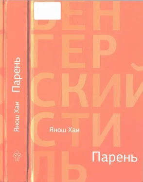 Янош Хаи Парень обложка книги