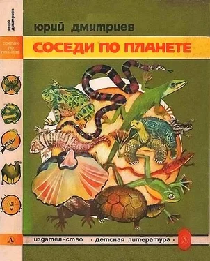 Юрий Дмитриев Соседи по планете Земноводные и пресмыкающиеся обложка книги