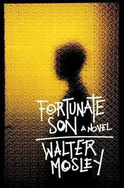Walter Mosley Fortunate Son