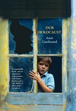 Amir Gutfreund Our Holocaust обложка книги