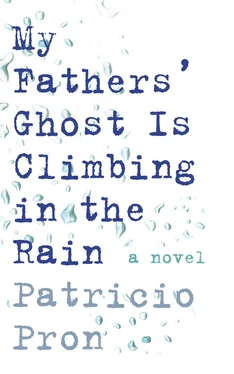 Patricio Pron My Fathers' Ghost is Climbing in the Rain обложка книги