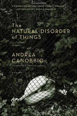 Andrea Canobbio The Natural Disorder of Things обложка книги