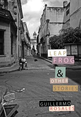 Guillermo Rosales Leapfrog and Other Stories обложка книги