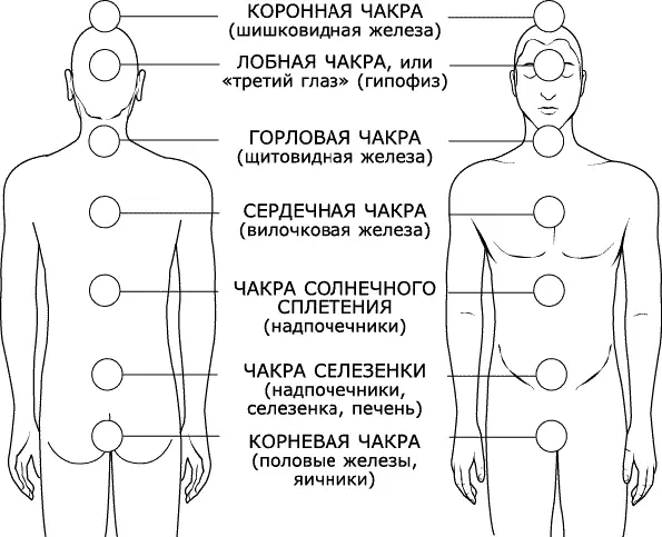Рис 10 Система чакр Чакры связывают всю внутреннюю энергию а также - фото 10