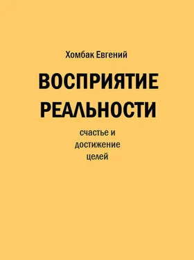 Евгений Хомбак Восприятие реальности обложка книги