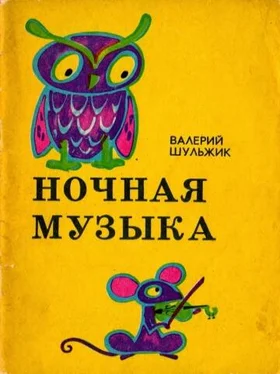 Валерий Шульжик Ночная музыка обложка книги