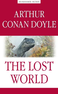 Артур Дойл The Lost World / Затерянный мир обложка книги