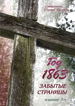 Гордей Щеглов Год 1863. Забытые страницы обложка книги