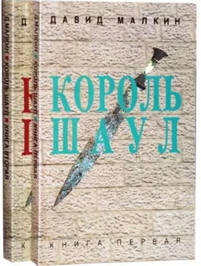 Давид Малкин Король Шаул обложка книги