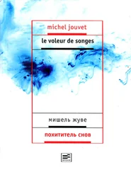 Мишель Жуве - Похититель снов