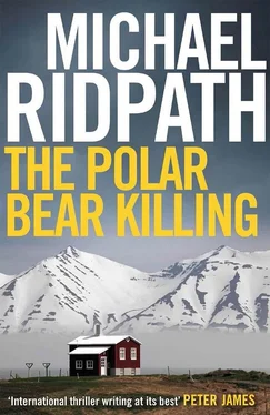 Michael Ridpath The Polar Bear Killing обложка книги