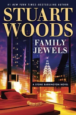 Stuart Woods Family Jewels обложка книги