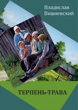 Владислав Вишневский Терпень-трава обложка книги