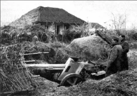 Замаскированное немецкое противотанковое орудие Прибалтика осень 1944 года В - фото 9