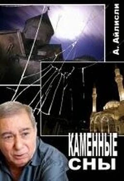 Əkrəm Əylisli Daş yuxular обложка книги