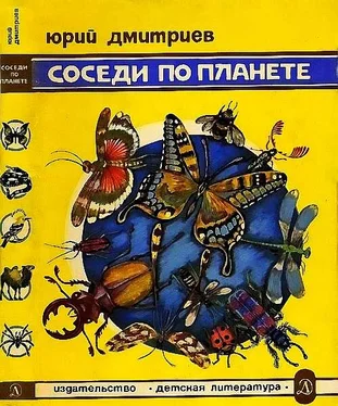 Юрий Дмитриев Соседи по планете Насекомые обложка книги