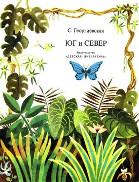 Сусанна Георгиевская Юг и север обложка книги