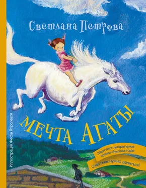 Светлана Петрова Мечта Агаты обложка книги