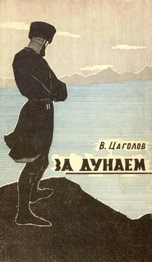 Василий Цаголов За Дунаем обложка книги