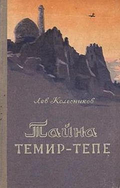 Лев Колесников Тайна Темир-Тепе (Повесть из жизни авиаторов) обложка книги