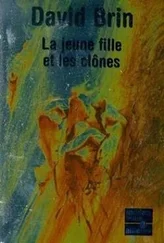 David Brin - La jeune fille et les clones