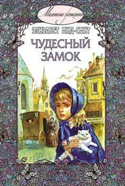 Элизабет Мид-Смит Чудесный замок обложка книги