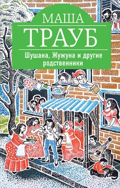 Маша Трауб Шушана, Жужуна и другие родственники обложка книги