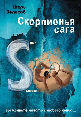 Игорь Белисов Скорпионья сага. Cамка cкорпиона обложка книги