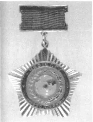 Нагрудный знак 70 лет ИНО ПГУ Нагрудный знак 75 лет ИНО ПГУ СВР - фото 36