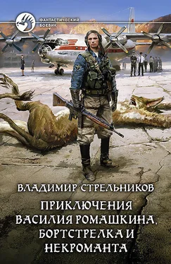 Владимир Стрельников Приключения Василия Ромашкина, бортстрелка и некроманта обложка книги